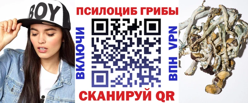 Псилоцибиновые грибы мицелий  blacksprut зеркало  Городище 